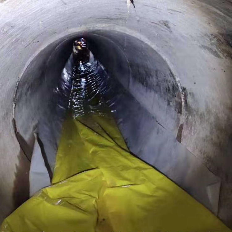 禹城管道光固化修复